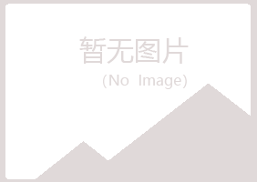 文山寒珊会计有限公司